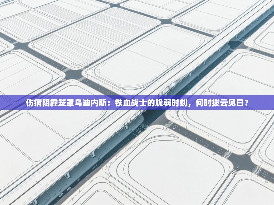 伤病阴霾笼罩乌迪内斯：铁血战士的脆弱时刻，何时拨云见日？  第2张