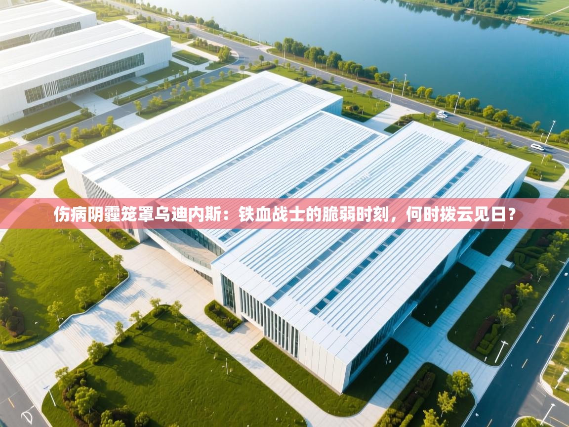 伤病阴霾笼罩乌迪内斯：铁血战士的脆弱时刻，何时拨云见日？  第1张