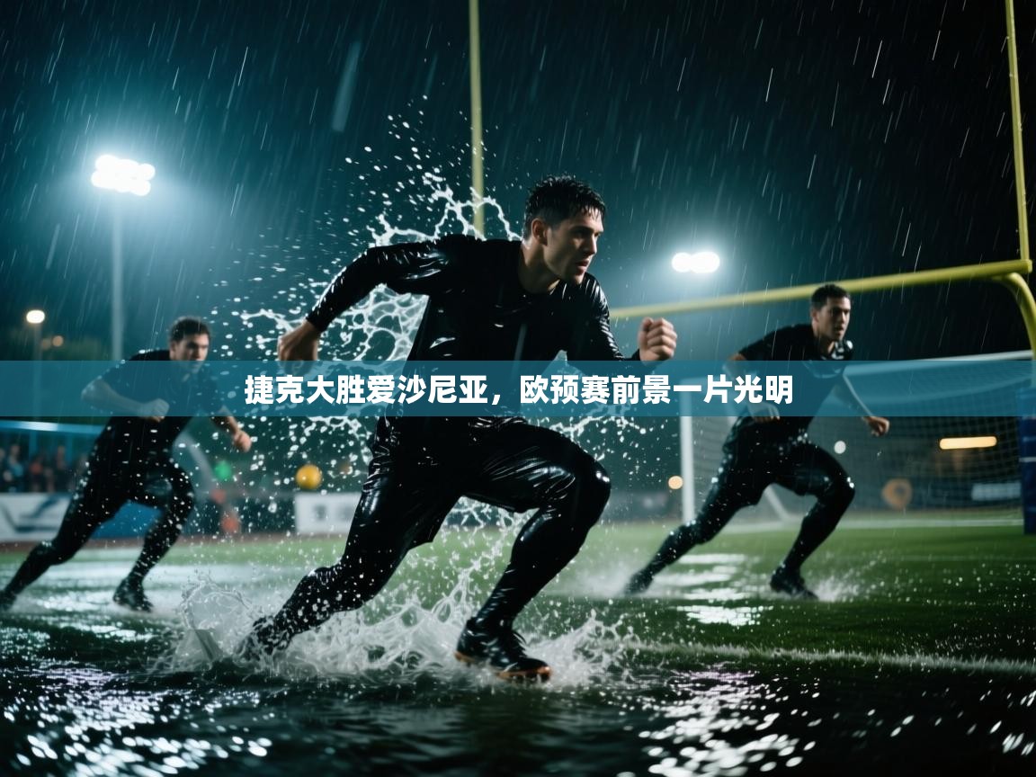 捷克大胜爱沙尼亚，欧预赛前景一片光明  第2张