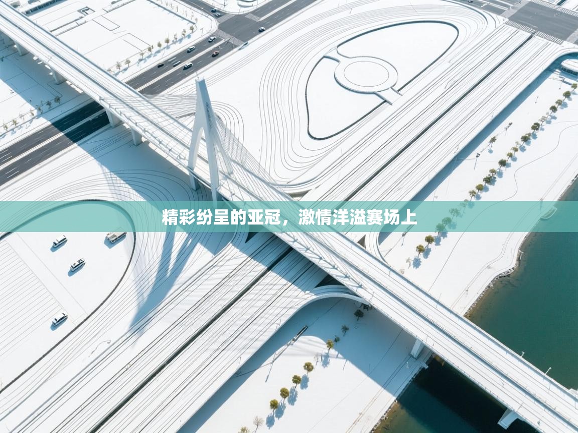 精彩纷呈的亚冠，激情洋溢赛场上  第1张